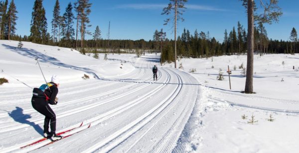 "Vasaloppstänk" gav bättre elevresultat – Workshop om skolutveckling i Filipstad